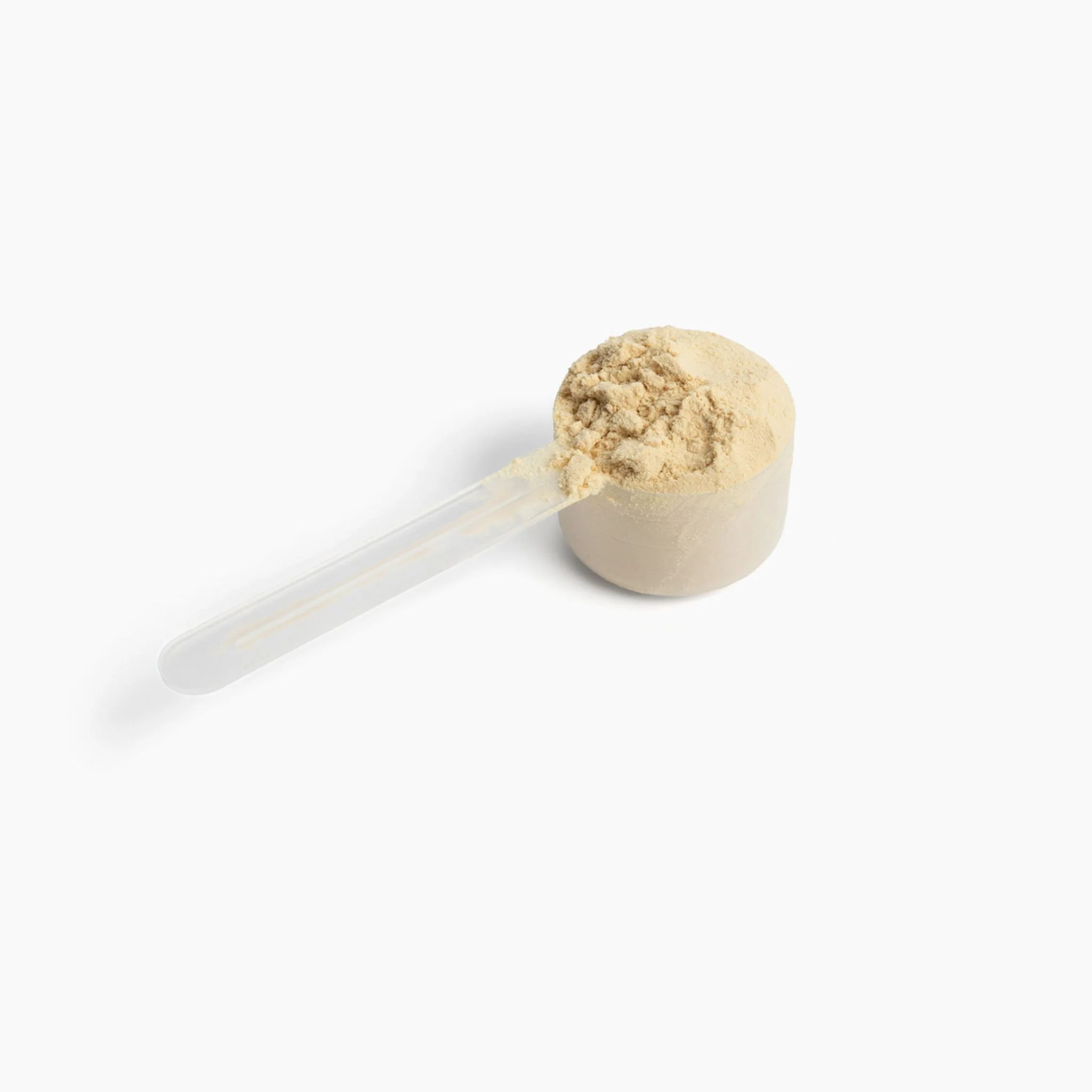 10X Plant Protein - Image 3