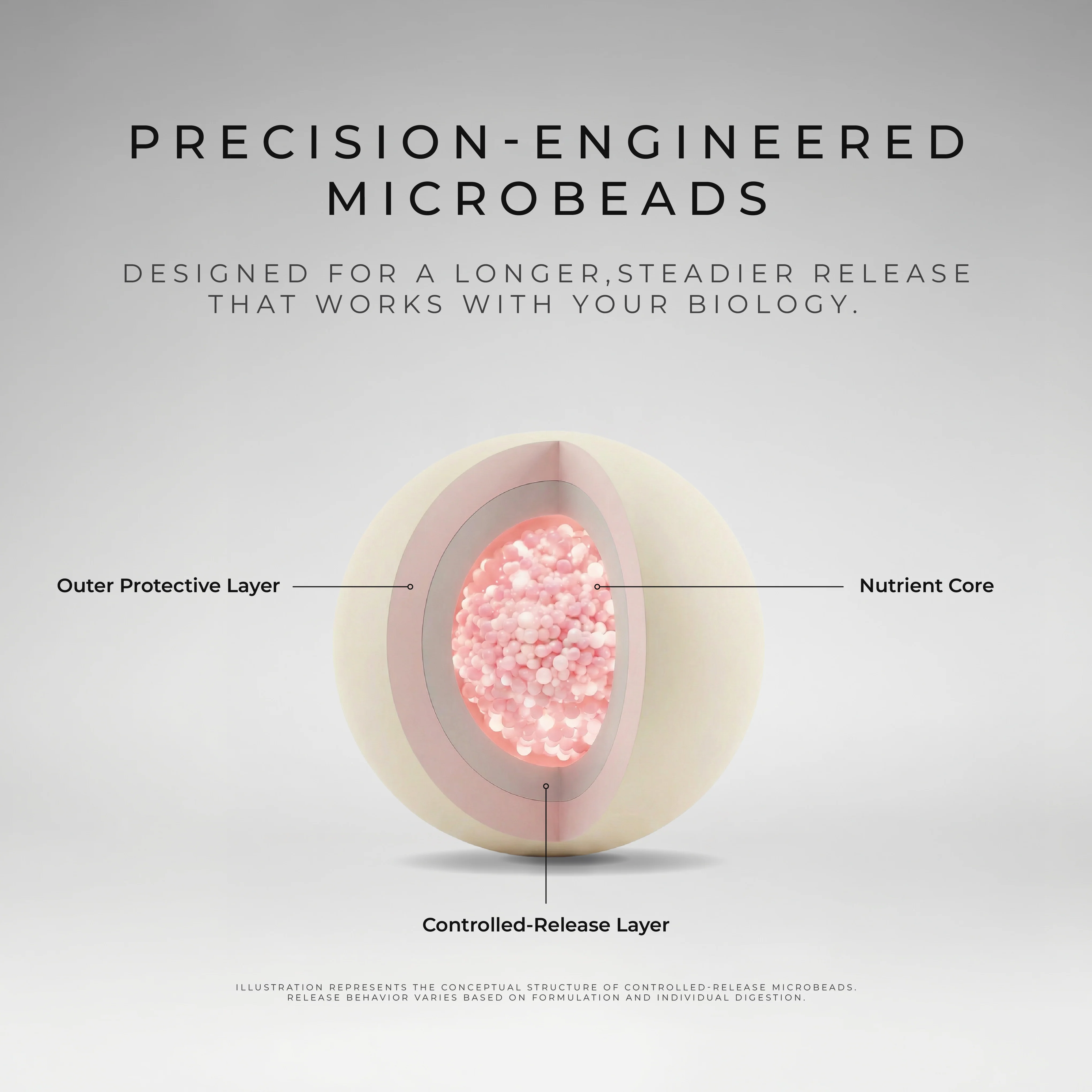 10X Precision Aminos - Image 5